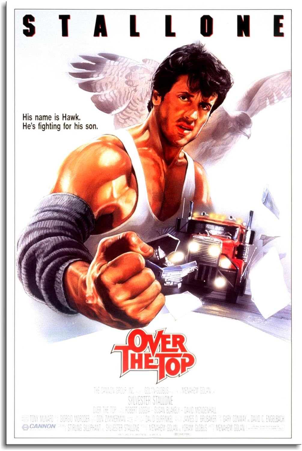 Over The Top Movie Poster Clas - огляд і ціна Home Gym Setup