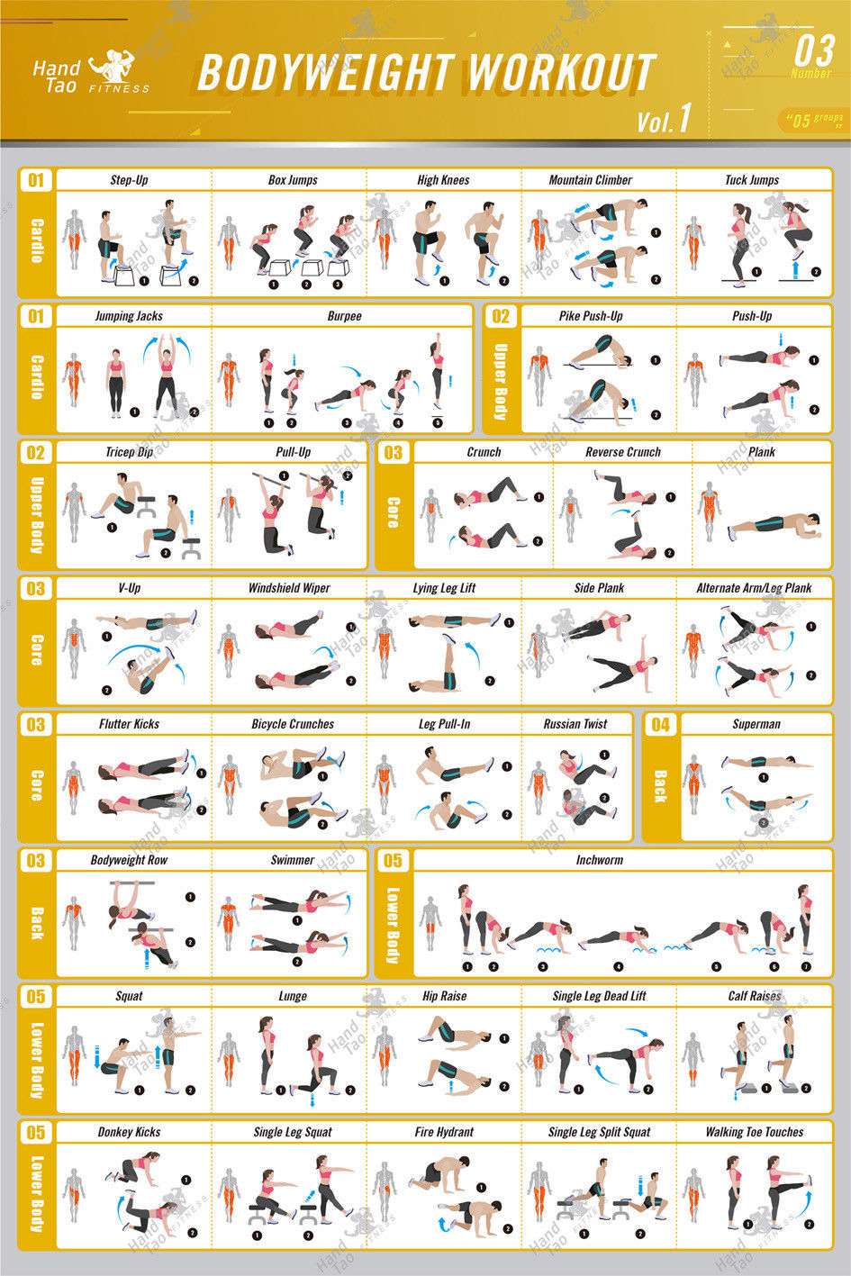 Bodyweight workout Exercise Bo - огляд і ціна Home Gym Guide
