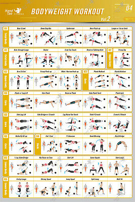 Bodyweight workout Exercise Bo - огляд і ціна Home Gym Guide